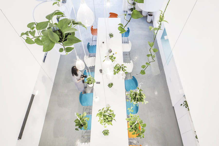 用綠色植物點(diǎn)綴的辦公室設(shè)計(jì)