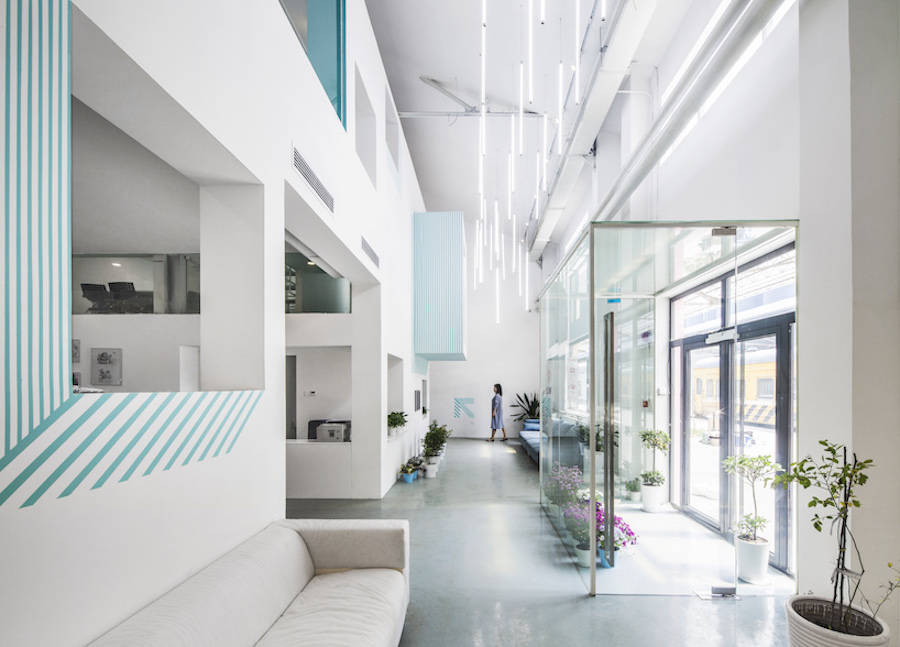 用綠色植物點(diǎn)綴的辦公室設(shè)計(jì)